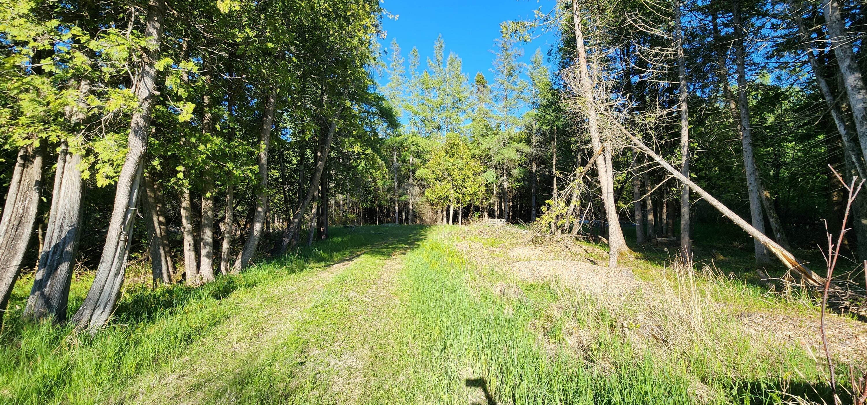 Property Photo: 143 St. Martins Pt Rd MI 49745