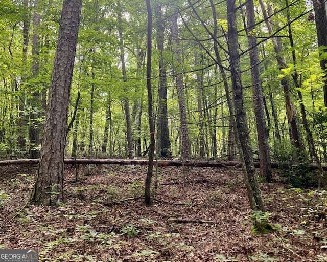 Property Photo: 0 Mountain View Lane GA 30555