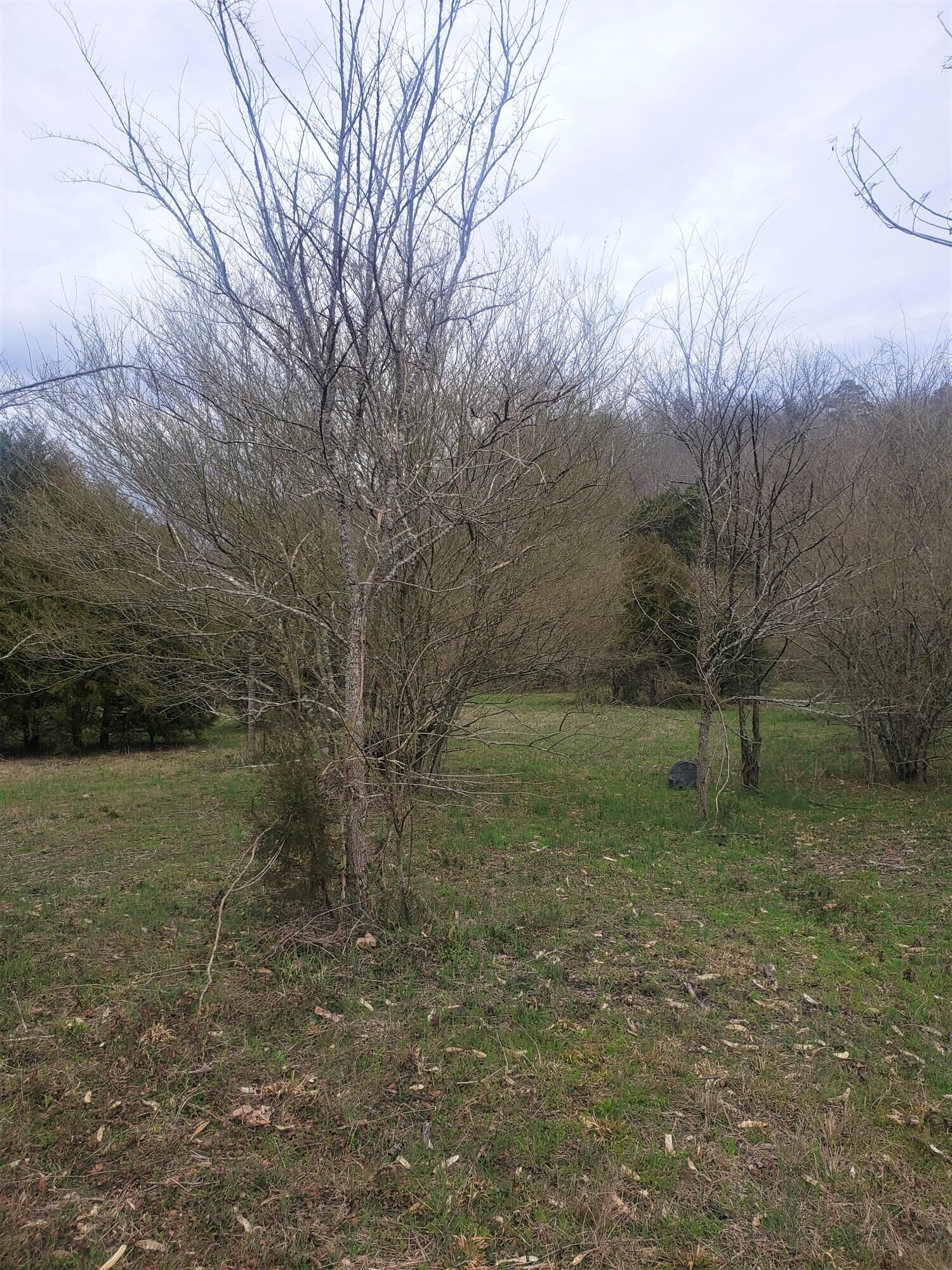 Property Photo: 249 Daus Mill Road TN 37327