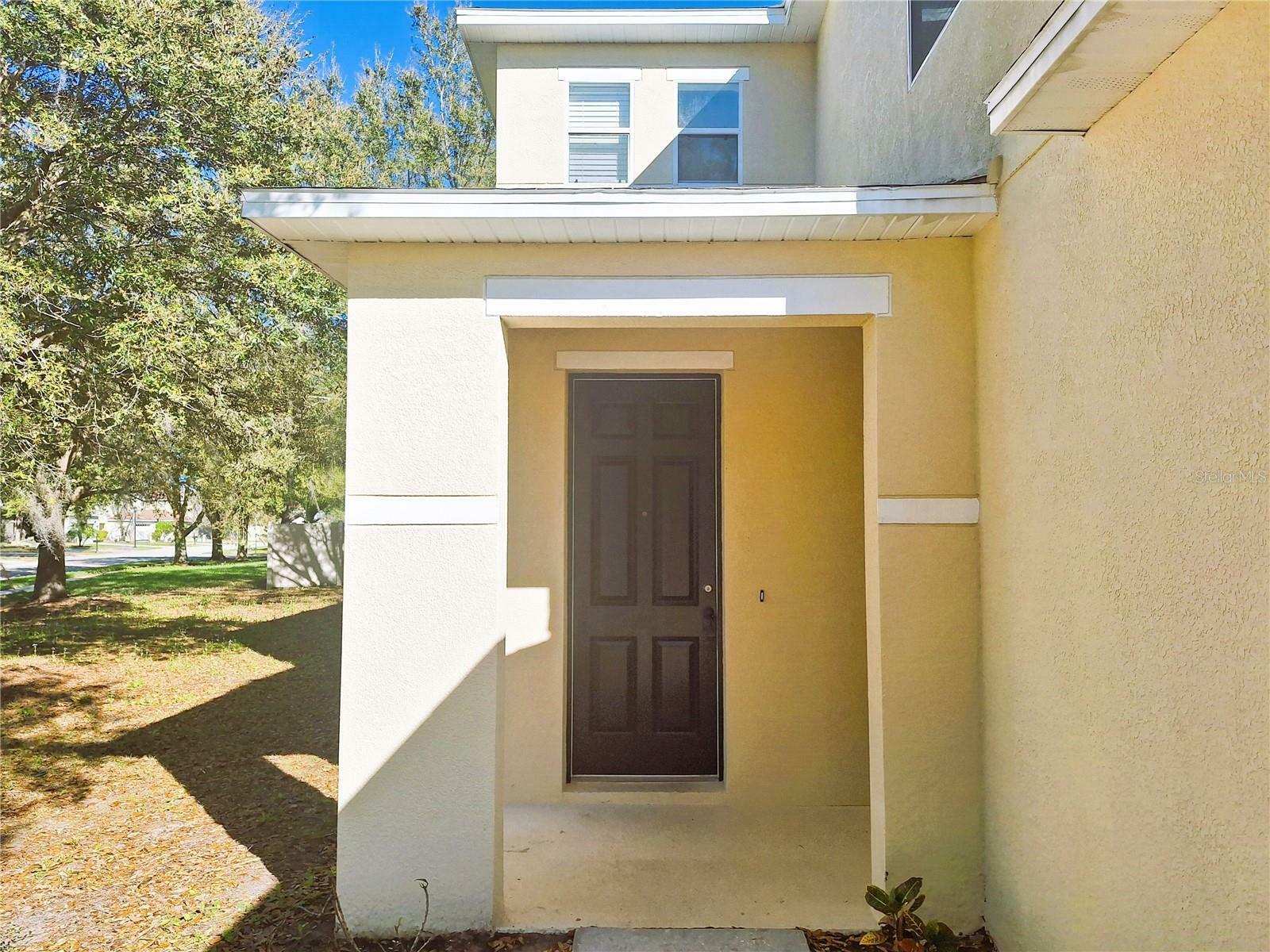 Property Photo: 19551 Timberbluff Drive FL 34638