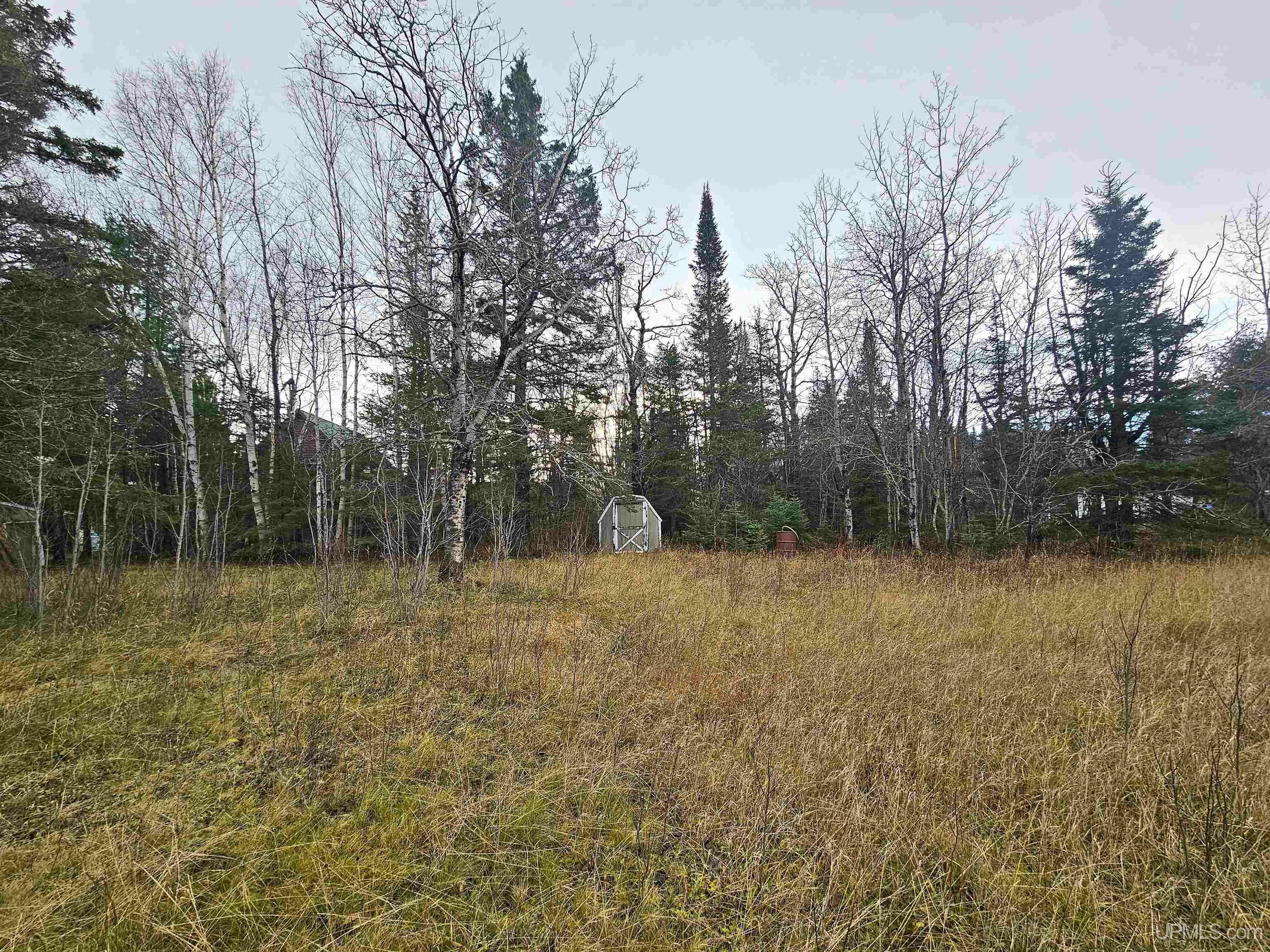 Property Photo: 10162 Wyoming Road MI 49918
