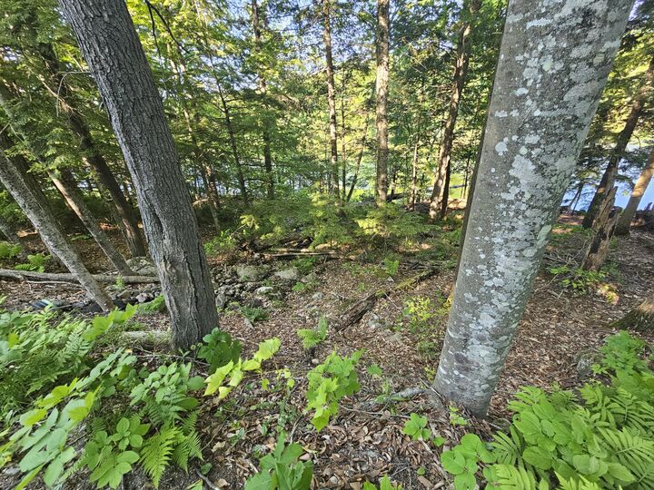 Property Photo: Pl5,6,9,10 Great Moose Drive ME 04493