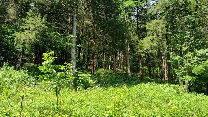 Property Photo:  6 Bay Dr  TN 38569 