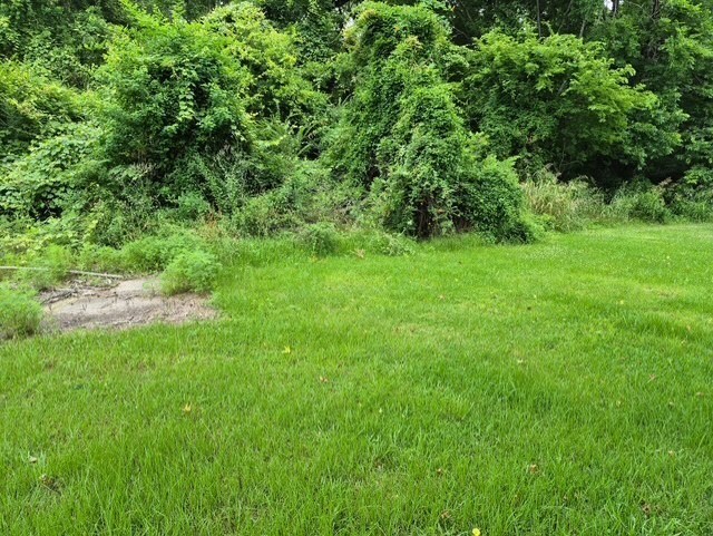 Property Photo: 505(2) Home St TX 75939