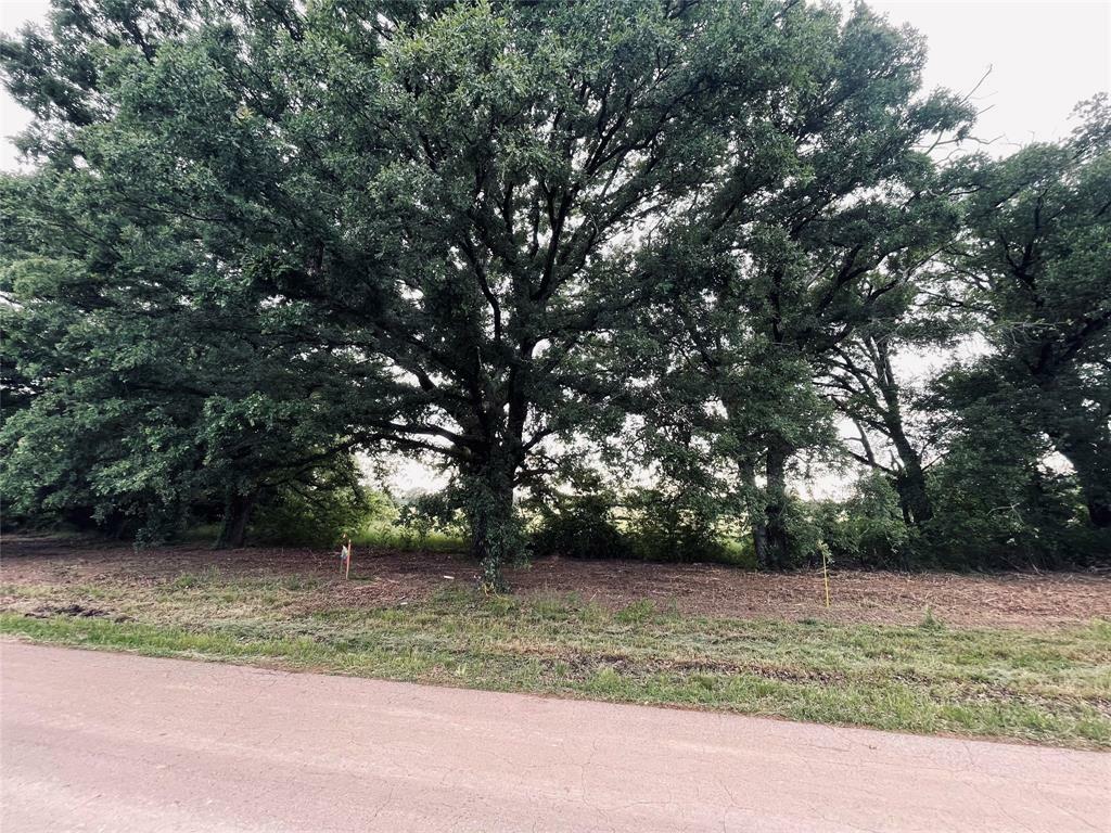 Property Photo:  Lot 4 County Road 1560  TX 75410 