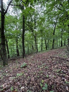Property Photo: Summit Drive AR 72631