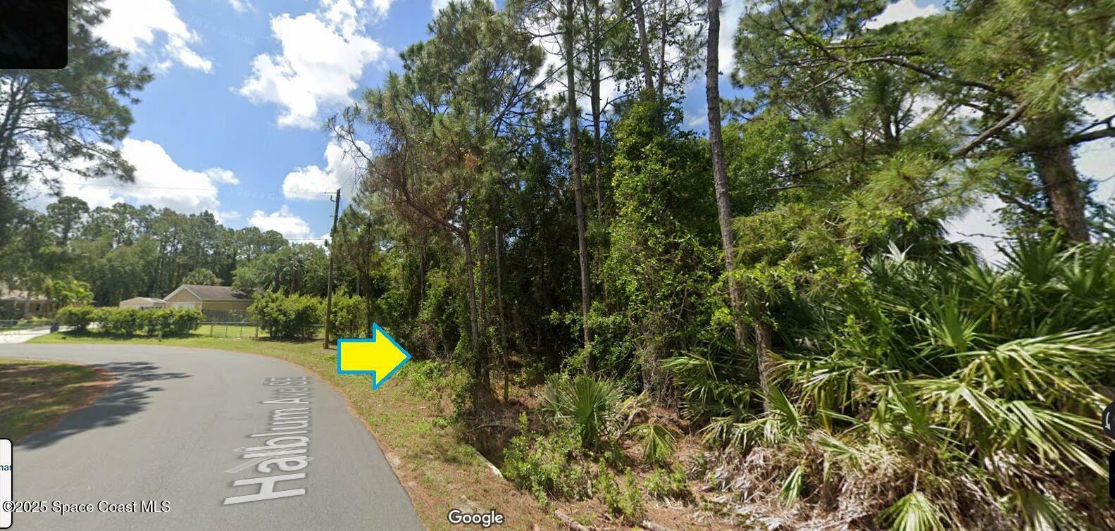 Property Photo: 3186 Halblum Avenue SE FL 32909