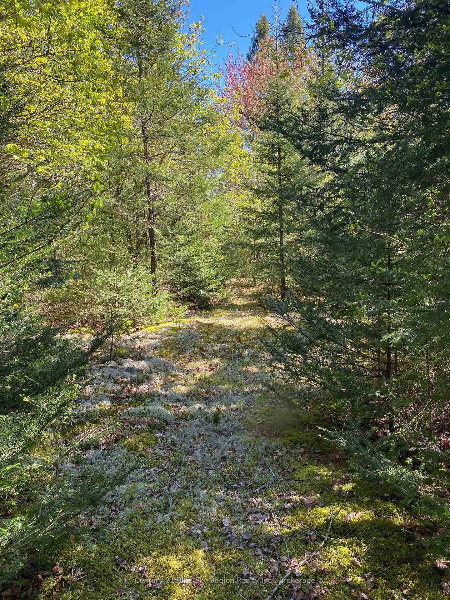 Property Photo:  471 Weiler Line  ON P0H 2L0 