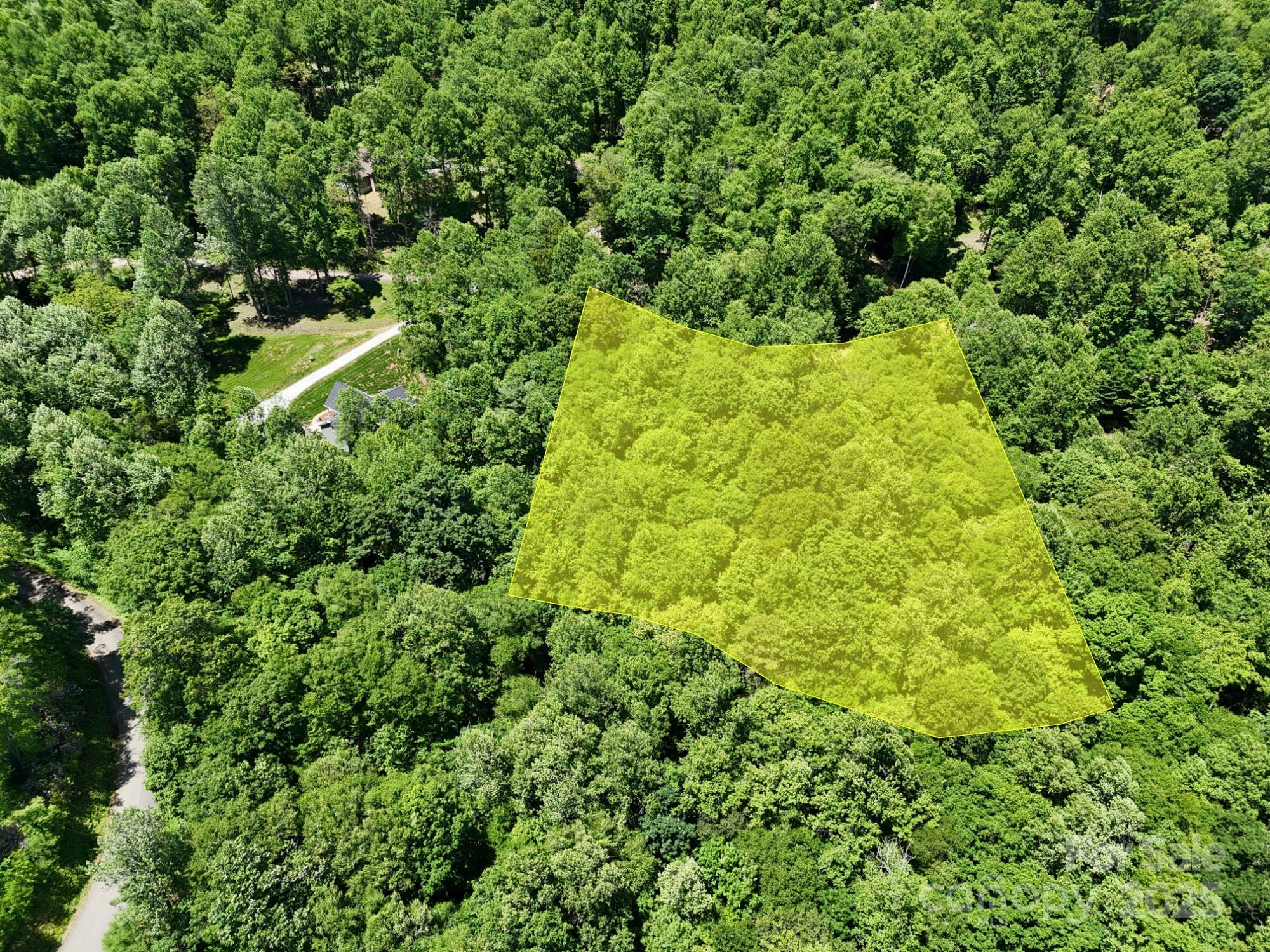 Property Photo:  0 Elkhorn Ridge Drive 46  NC 28734 