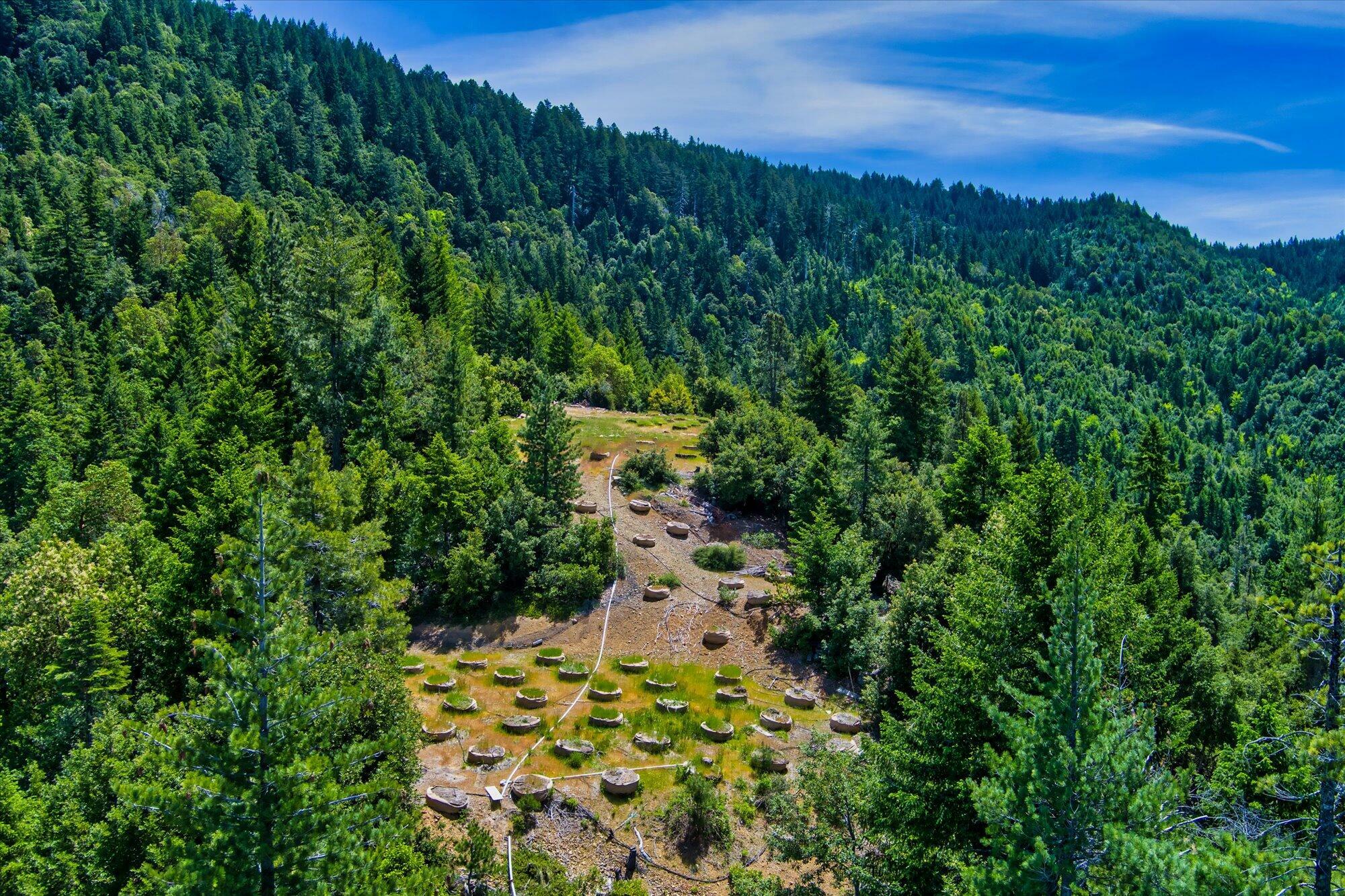 Property Photo:  465 Old Three Creeks Road  CA 95573 