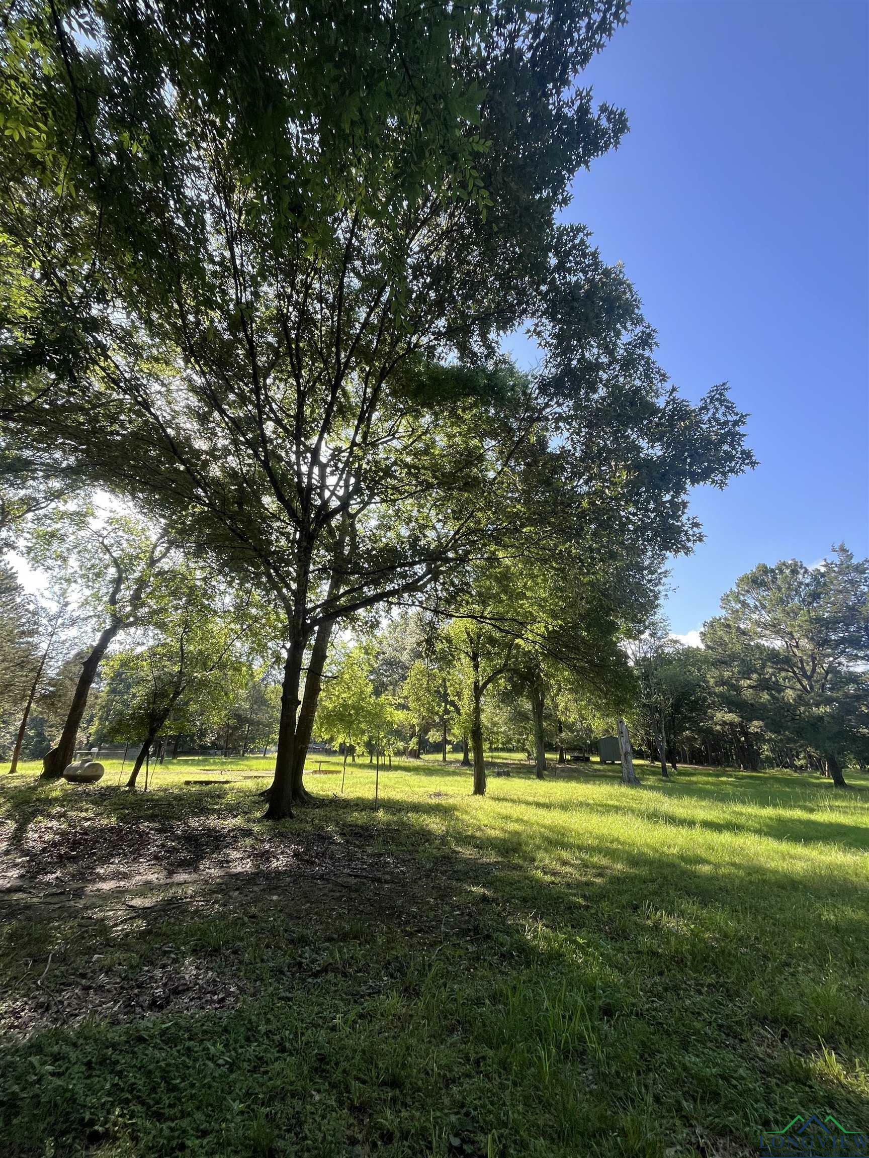 Property Photo: Tbd Bass St. Fm 729 TX 75630