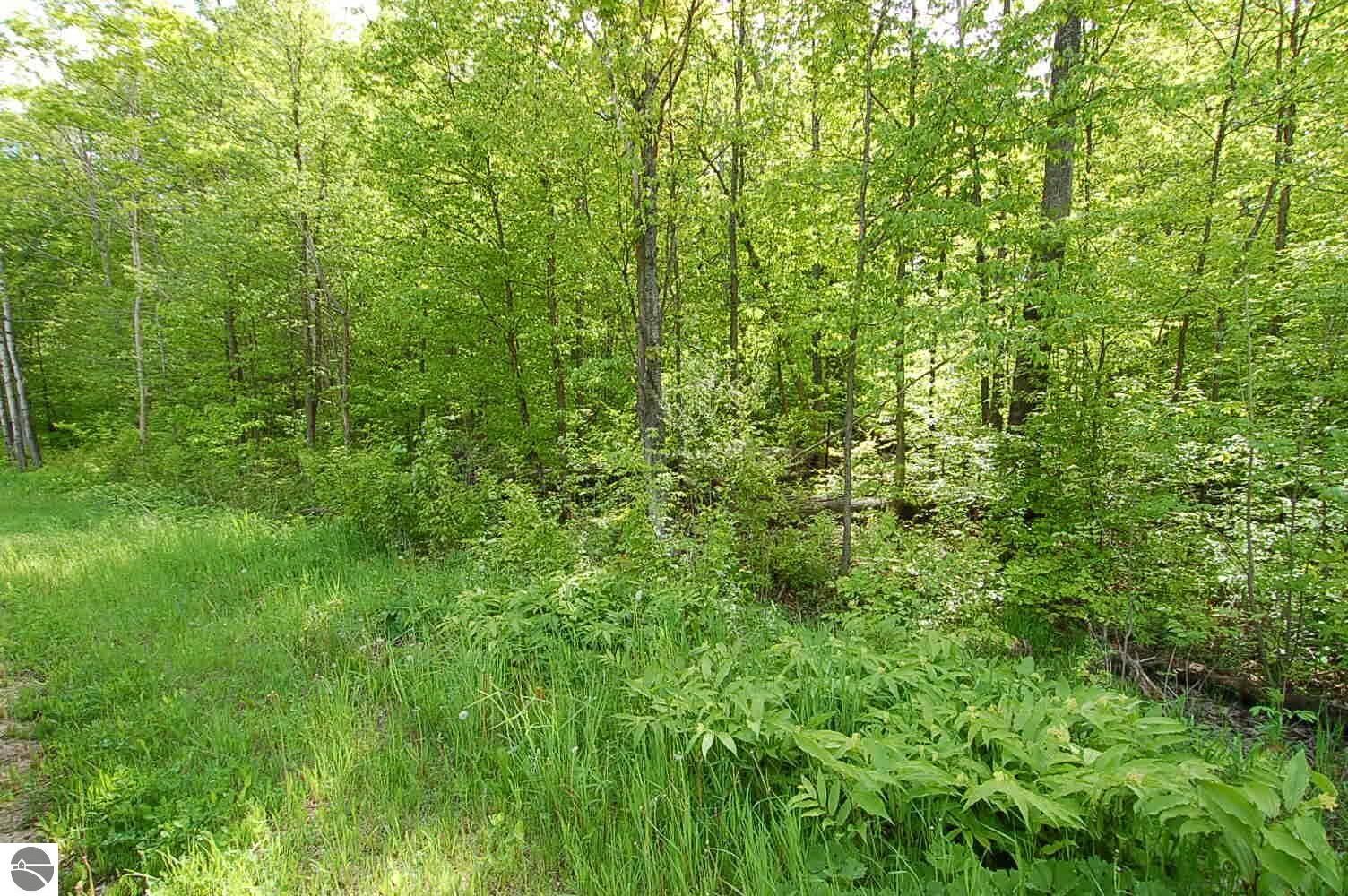 Property Photo: 3882 S 5 1/2 Road MI 49638