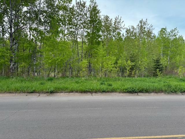 Property Photo: Xx W Myrtle St MN 55811