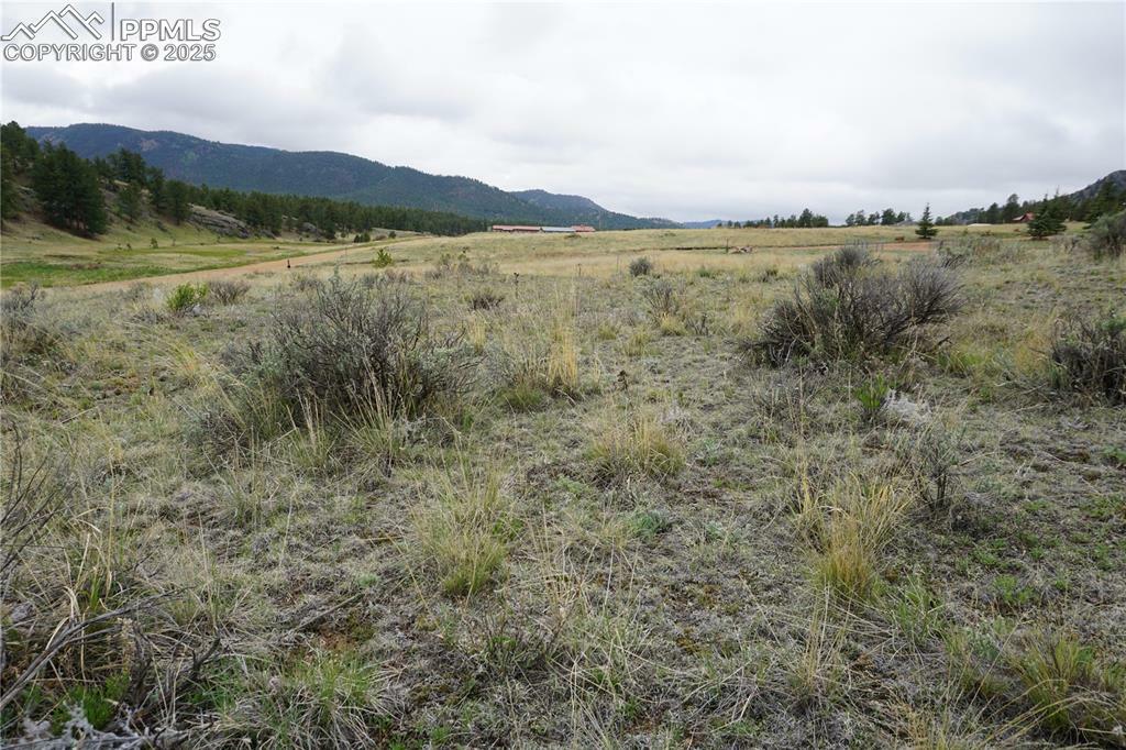 Property Photo: 506 Forge Drive CO 80816