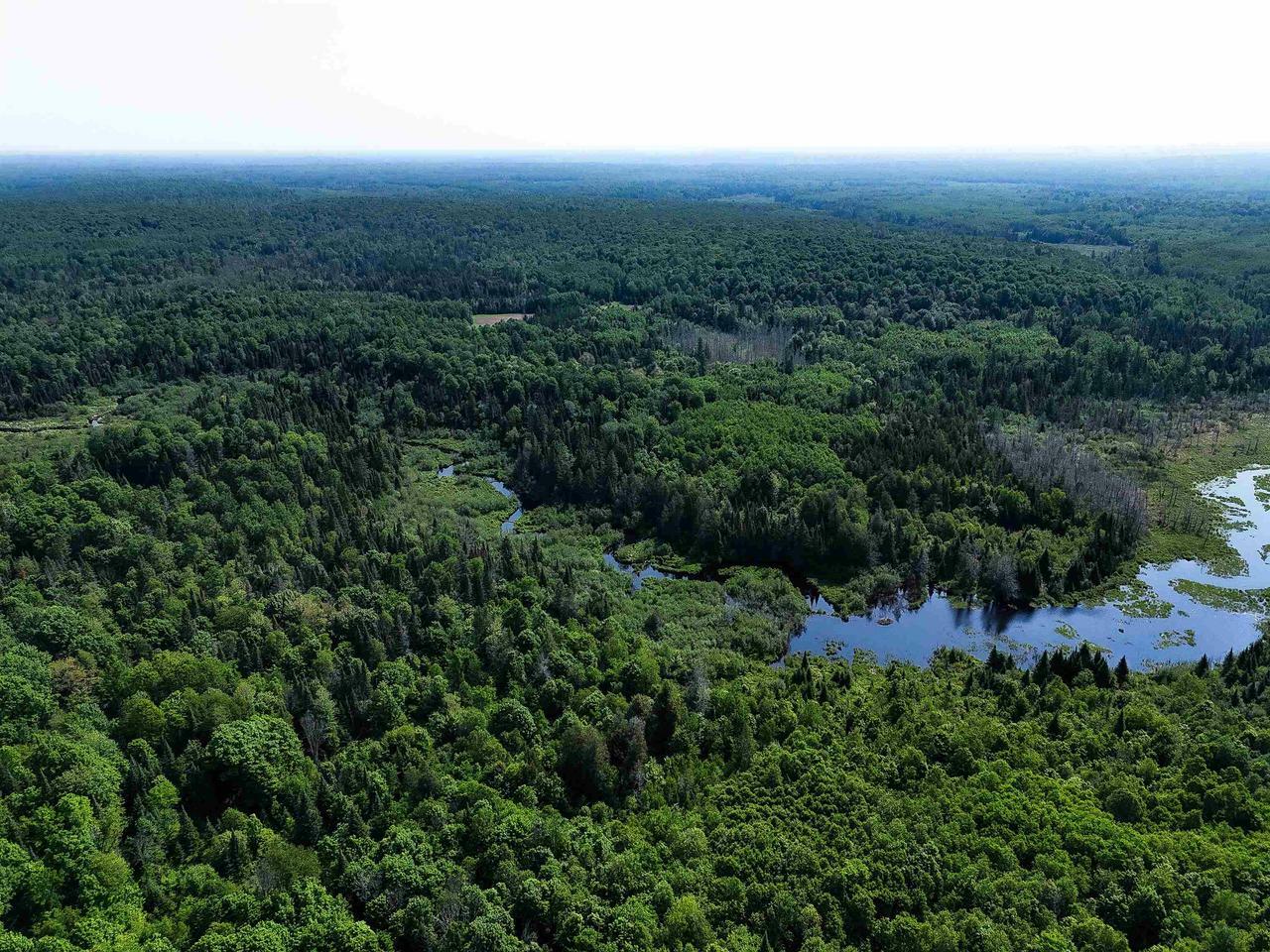 Property Photo: 121.49 Acres Forest Road 602 WI 54514