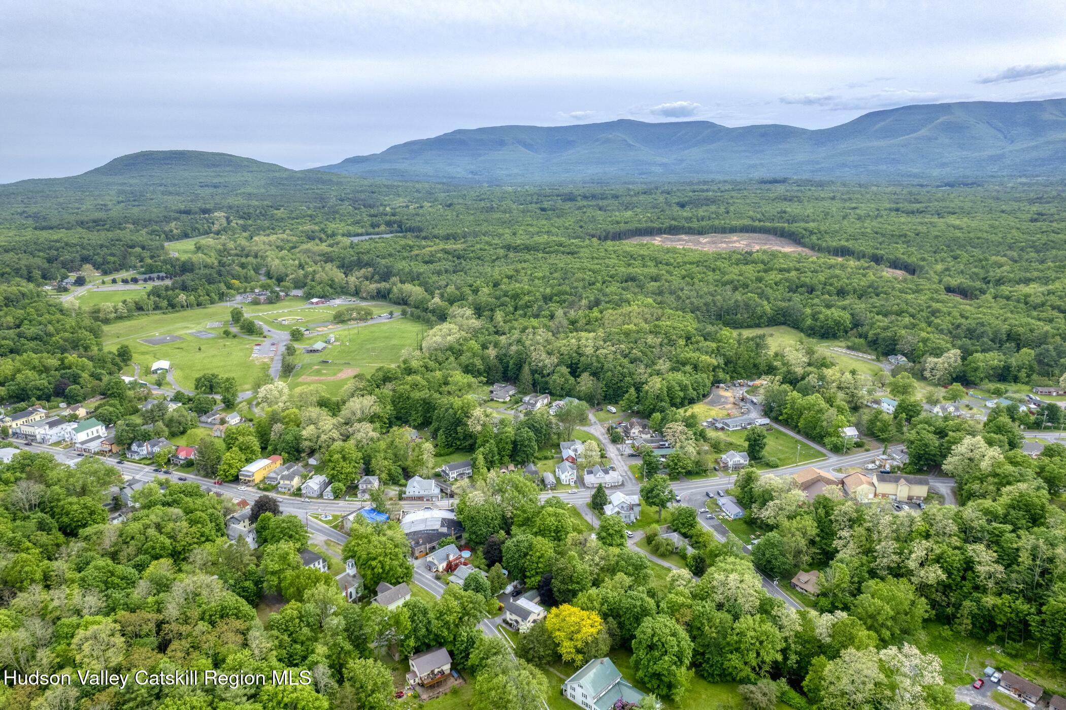 Property Photo: 29 Jerome NY 12413