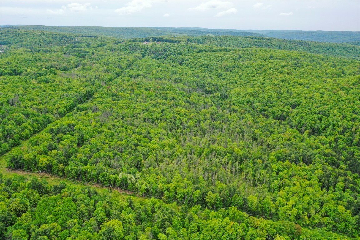 Property Photo:  766 Jensen Road  NY 13850 