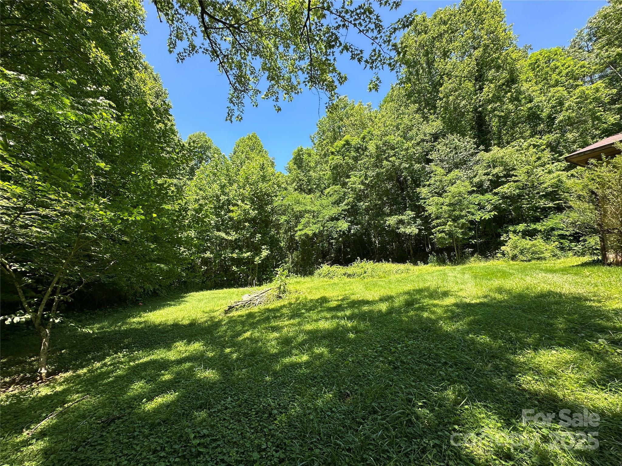 Property Photo:  204 Long Street  NC 28752 