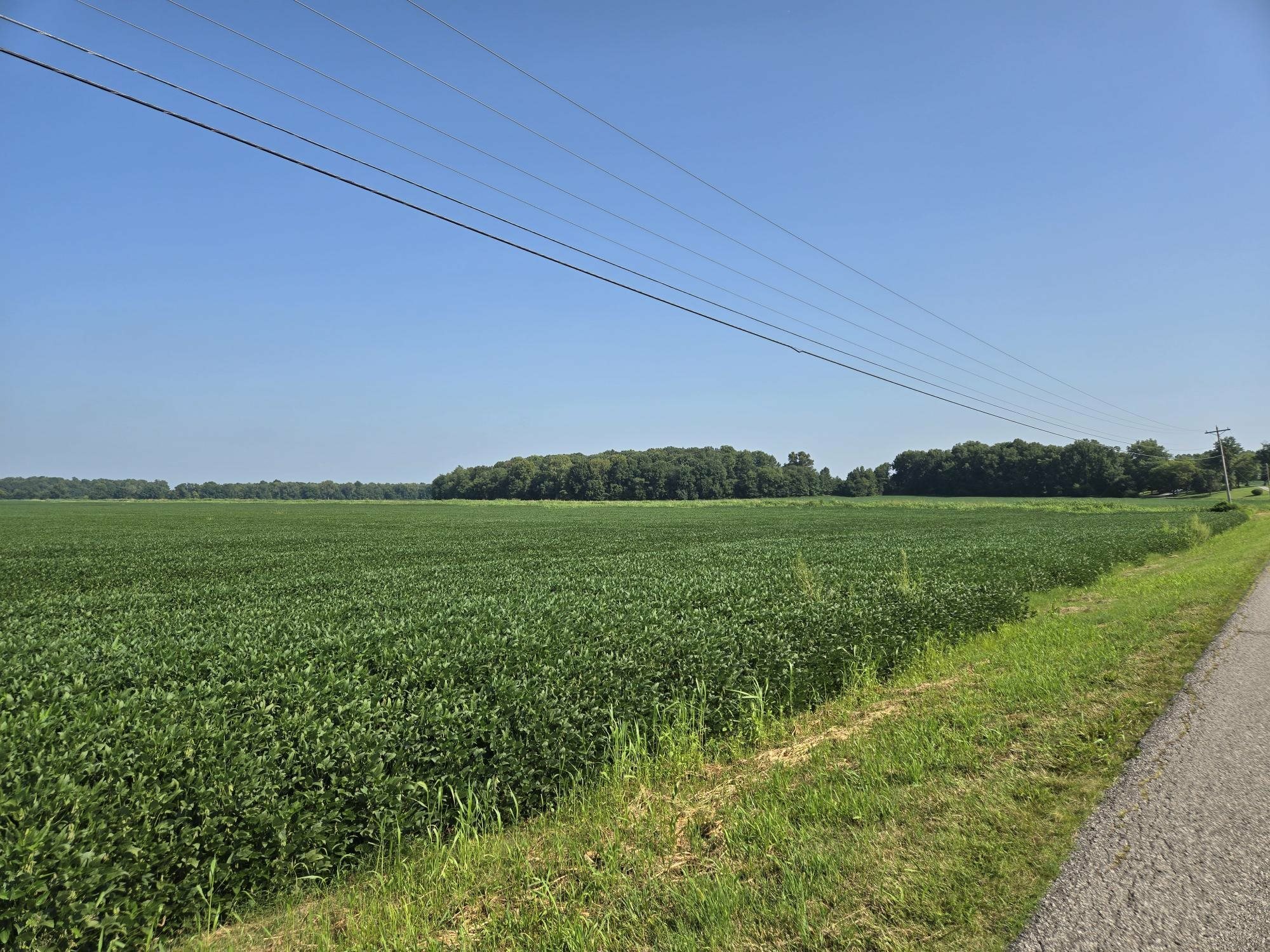 Property Photo: