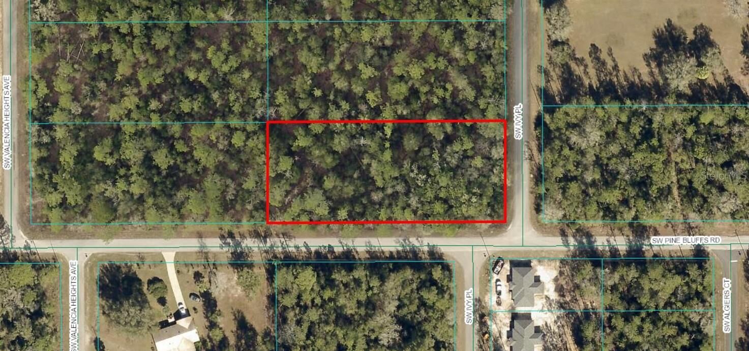 Property Photo:  Tbd Lot 19 SW Ivy Place  FL 34431 