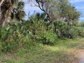 Property Photo: 1441 Candy Lane FL 33953