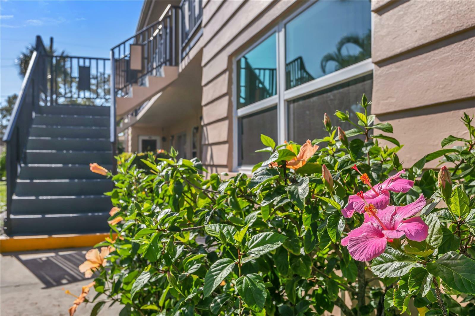 Property Photo: 216 36th Avenue N 202B FL 33704