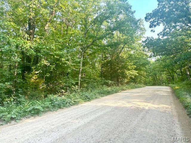 Property Photo: 0 Hamilton Hollow Road MO 63080