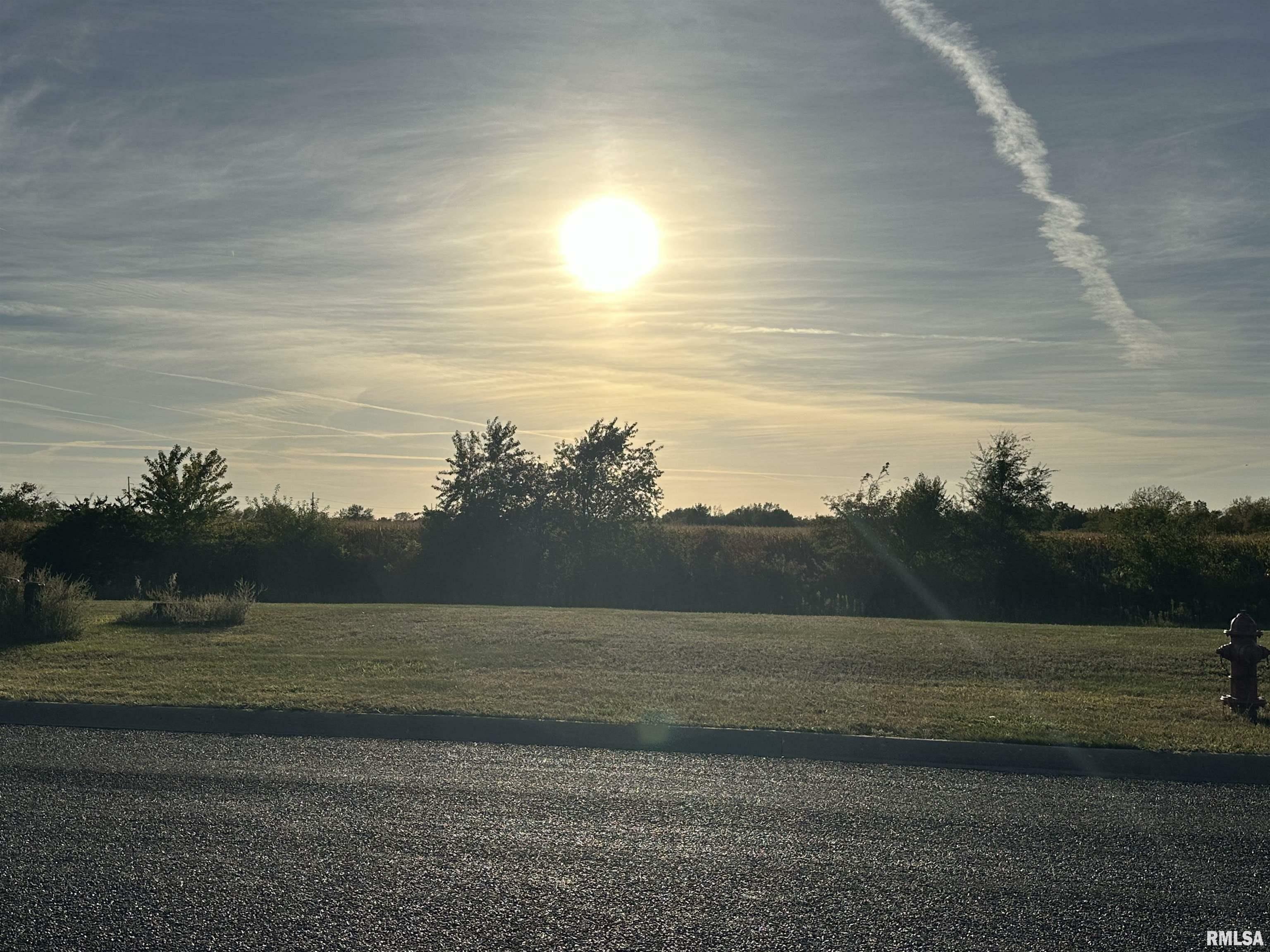 Property Photo:  107 Sable Lane  IL 61571 