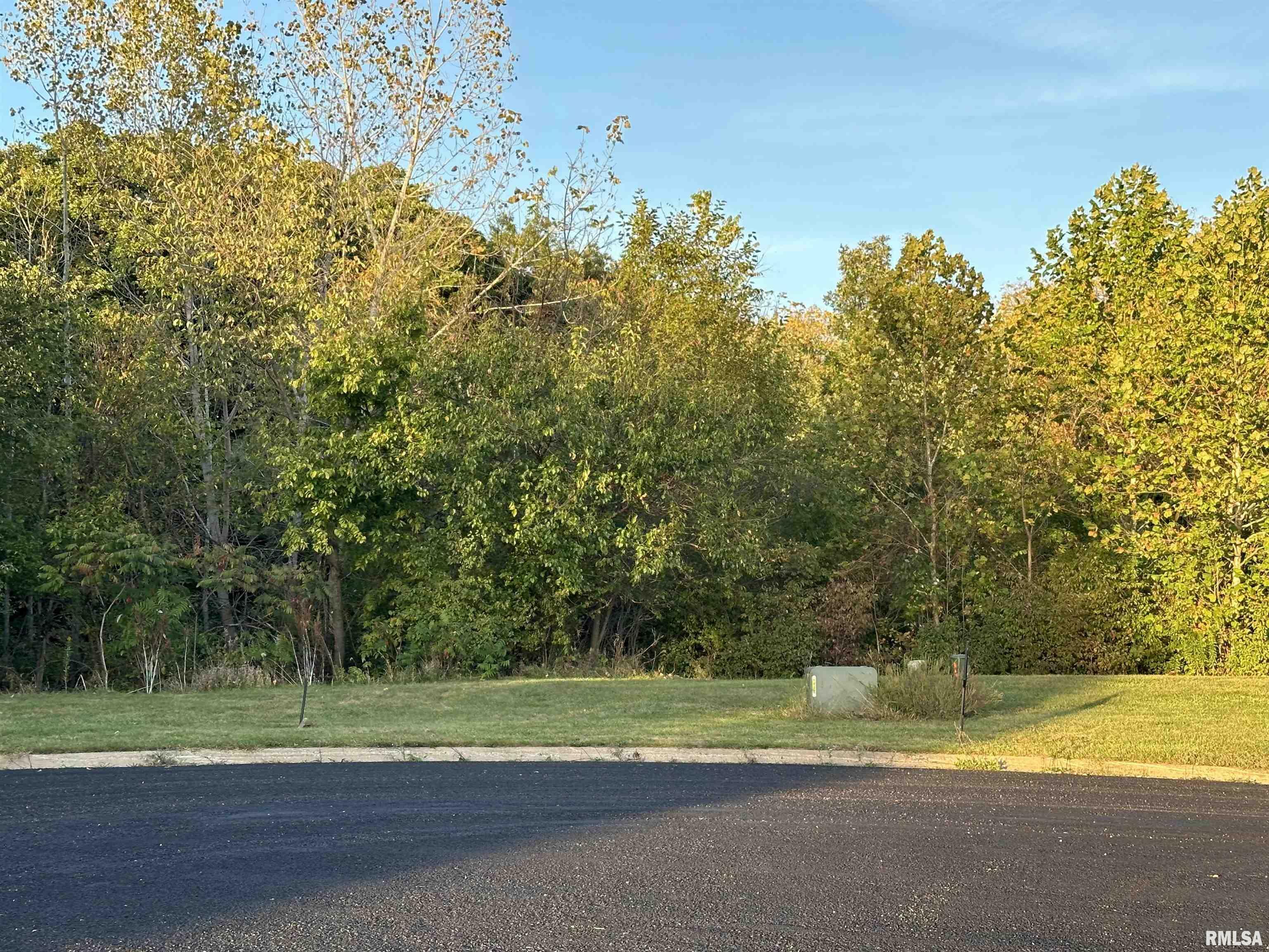 104 Scarlet Court  Washington IL 61571 photo