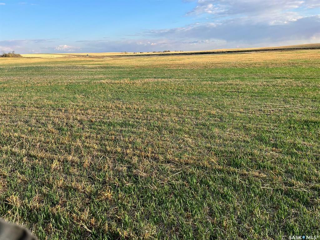 Property Photo:  Rural Address  SK S0K 0Z0 