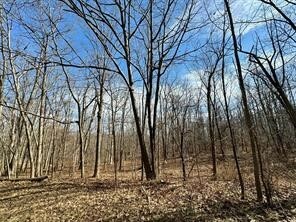 Property Photo: 0 Belle Cornell/State Route 414 Drive NY 14865