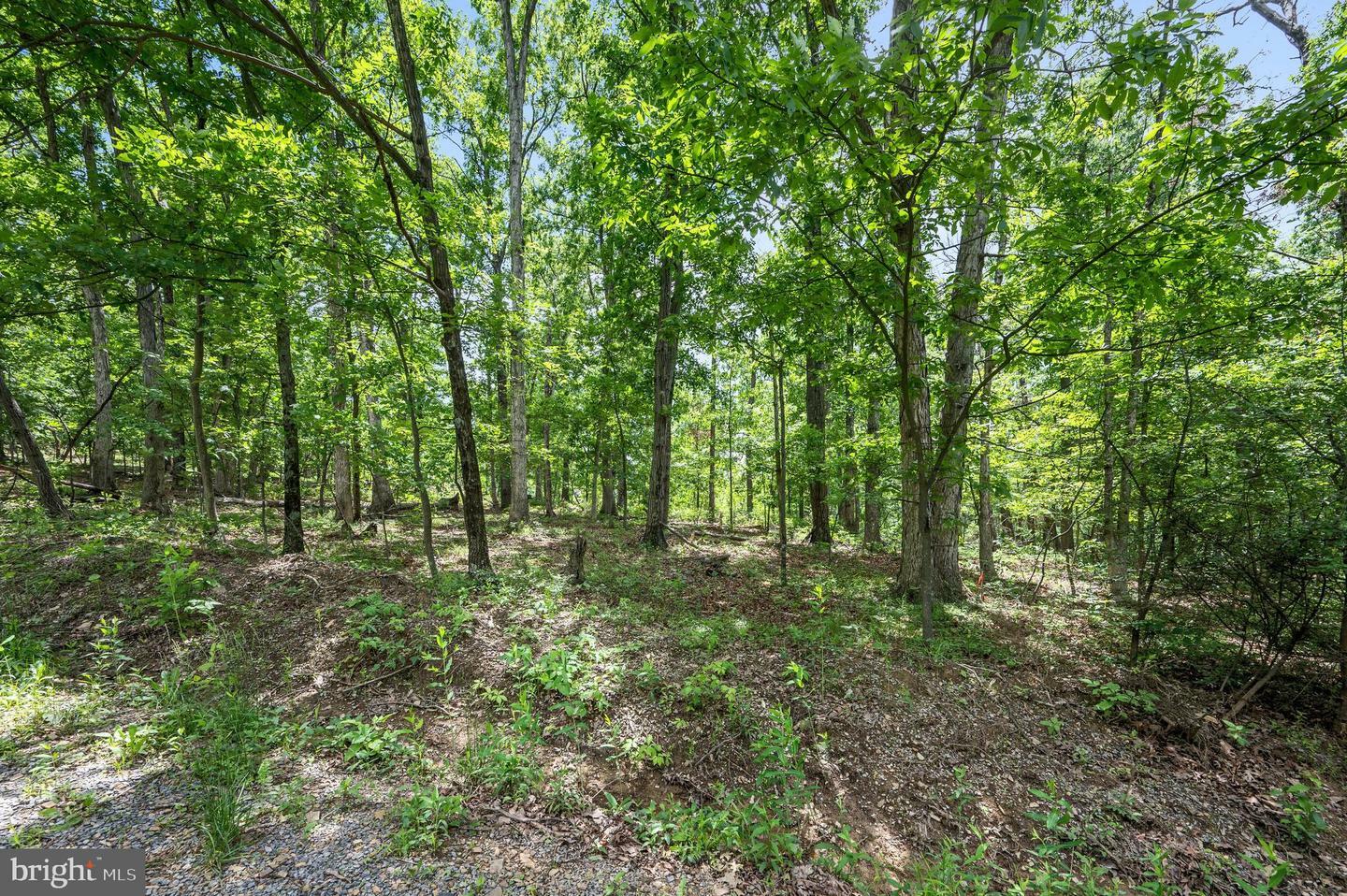 Property Photo: Lots 6 &Amp 7 Glen Ridge Road VA 22601