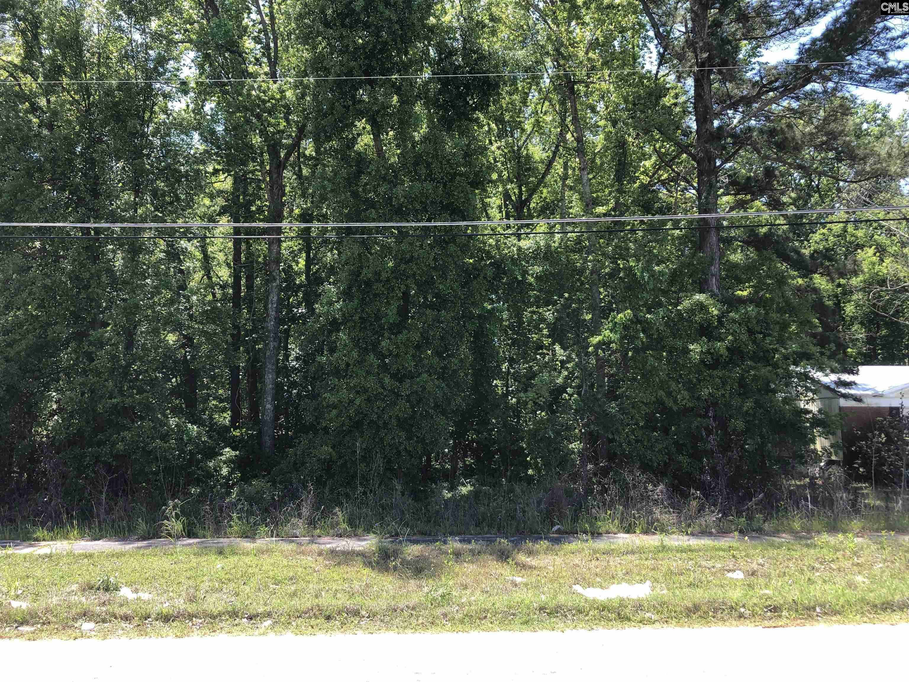 Property Photo: 0 Hampton SC 29042