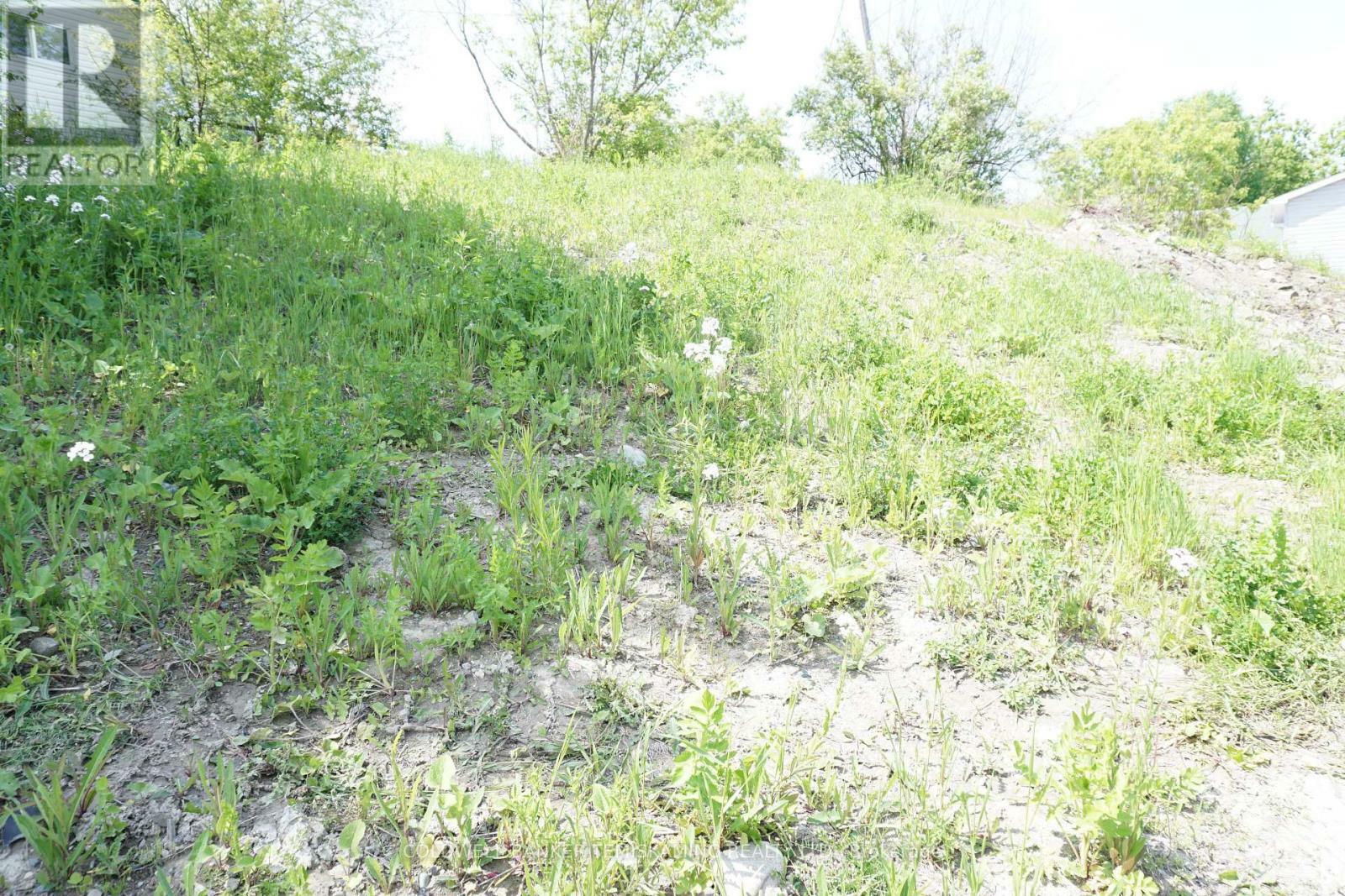 Photo de la propriété: 93 Jamieson Street ON P0J 1C0