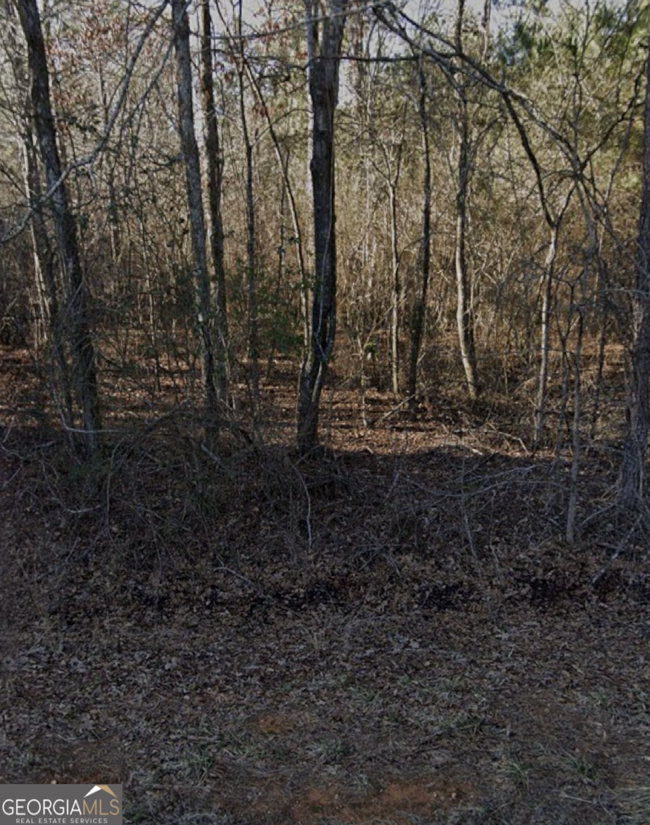 Property Photo: 0 Floyd Springs Road NE GA 30105