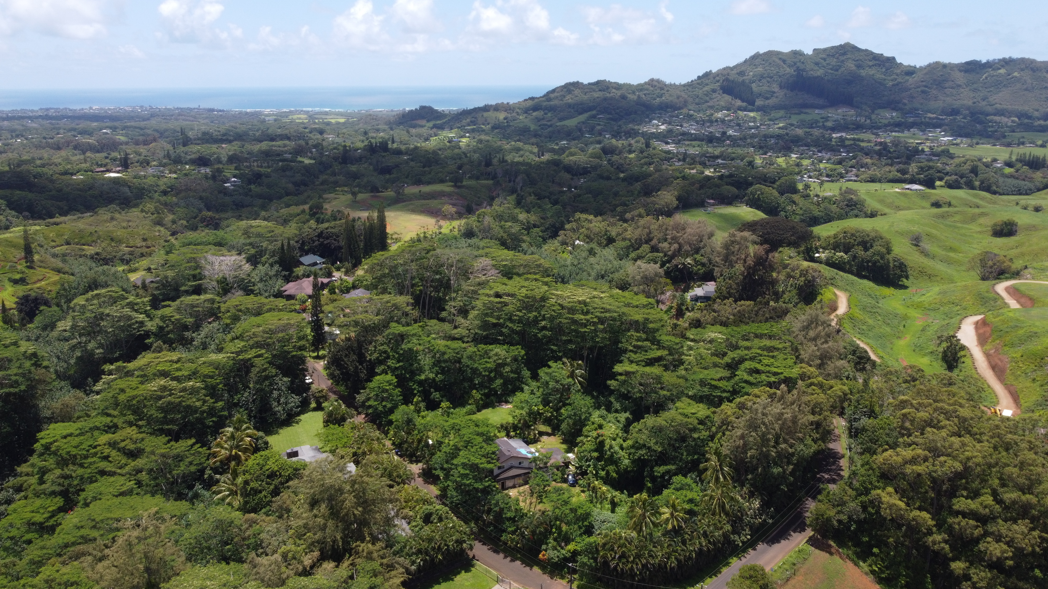 1370 Honoohala Pl  Kapaa HI 96746 photo
