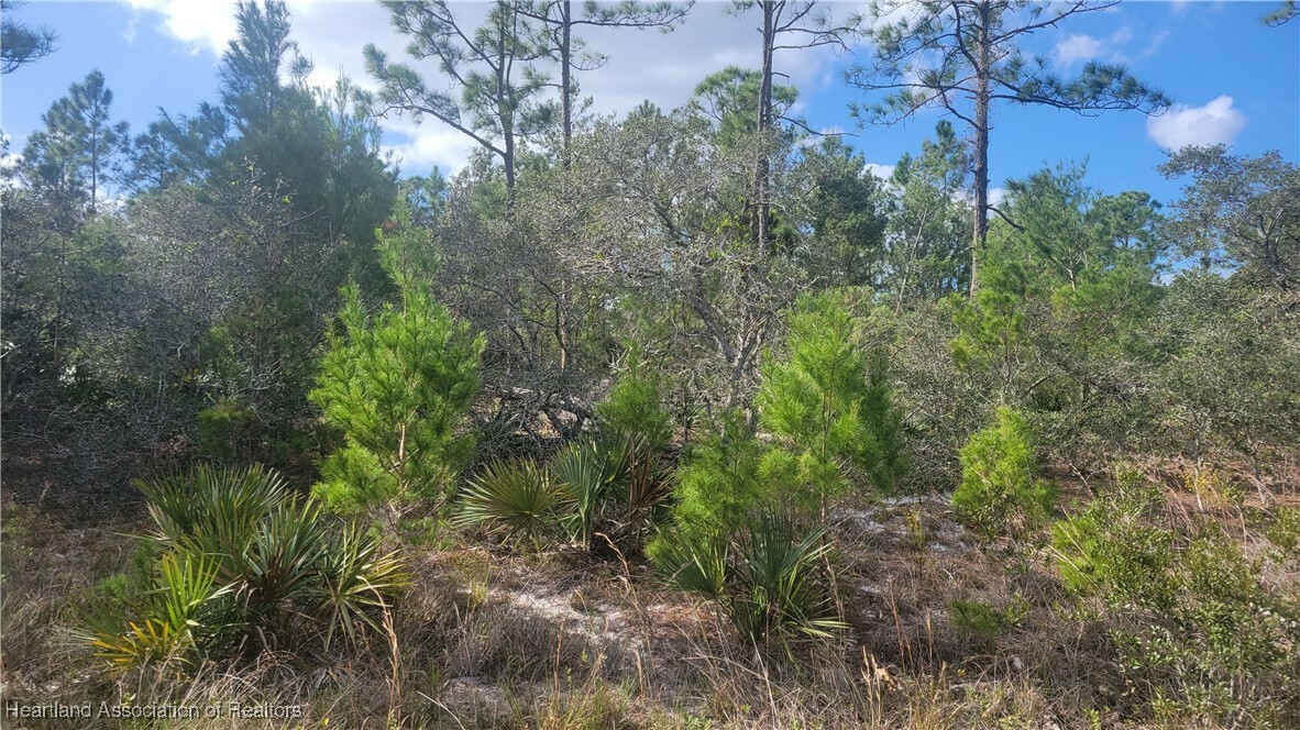 Property Photo: 238 Marshall Avenue FL 33852