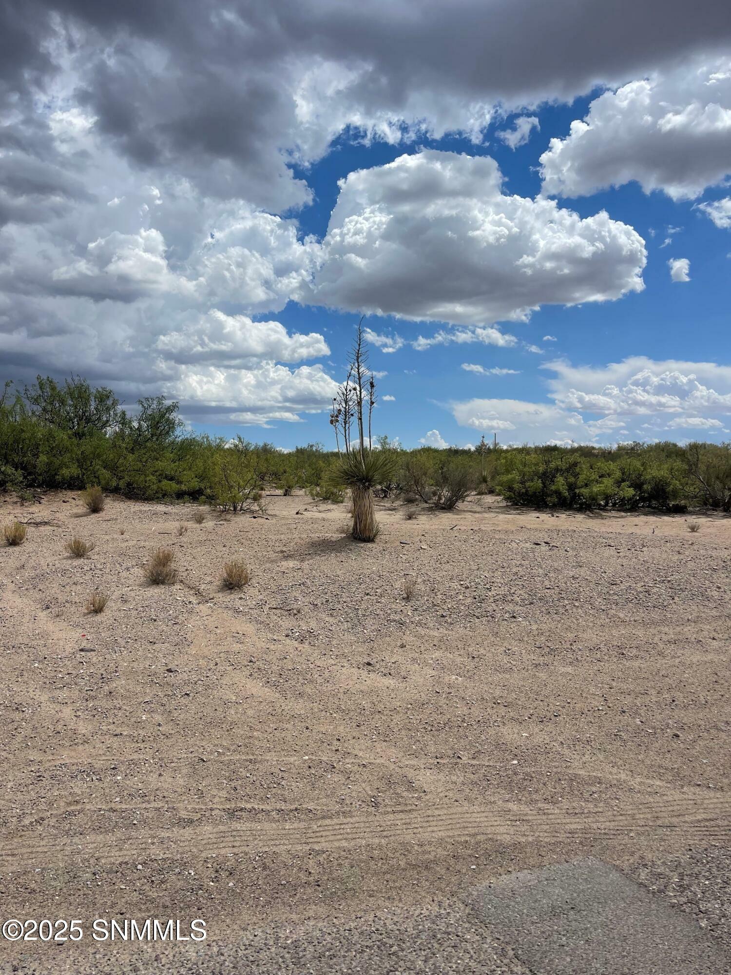 Property Photo: 2600 Sand Hill Road NM 88012