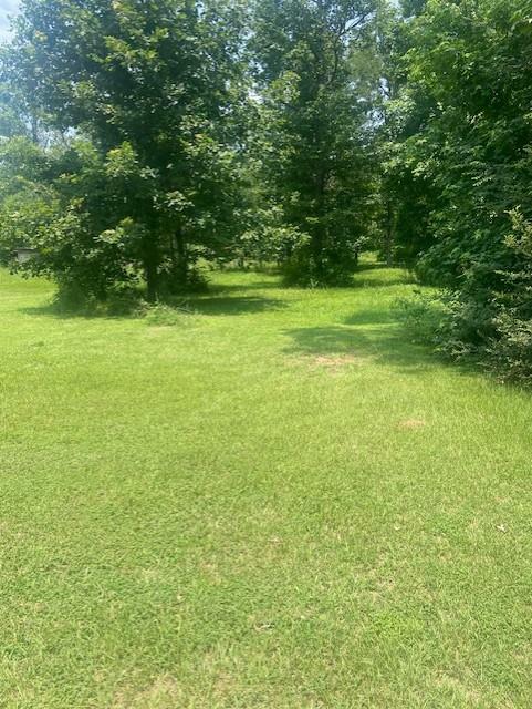 Property Photo: 203 Cr 557 TX 75961