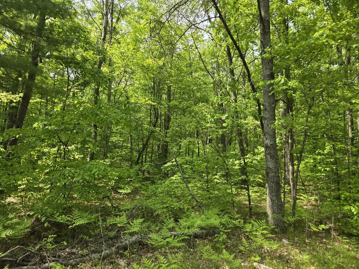 Property Photo: 00 Cypress Avenue MI 49338