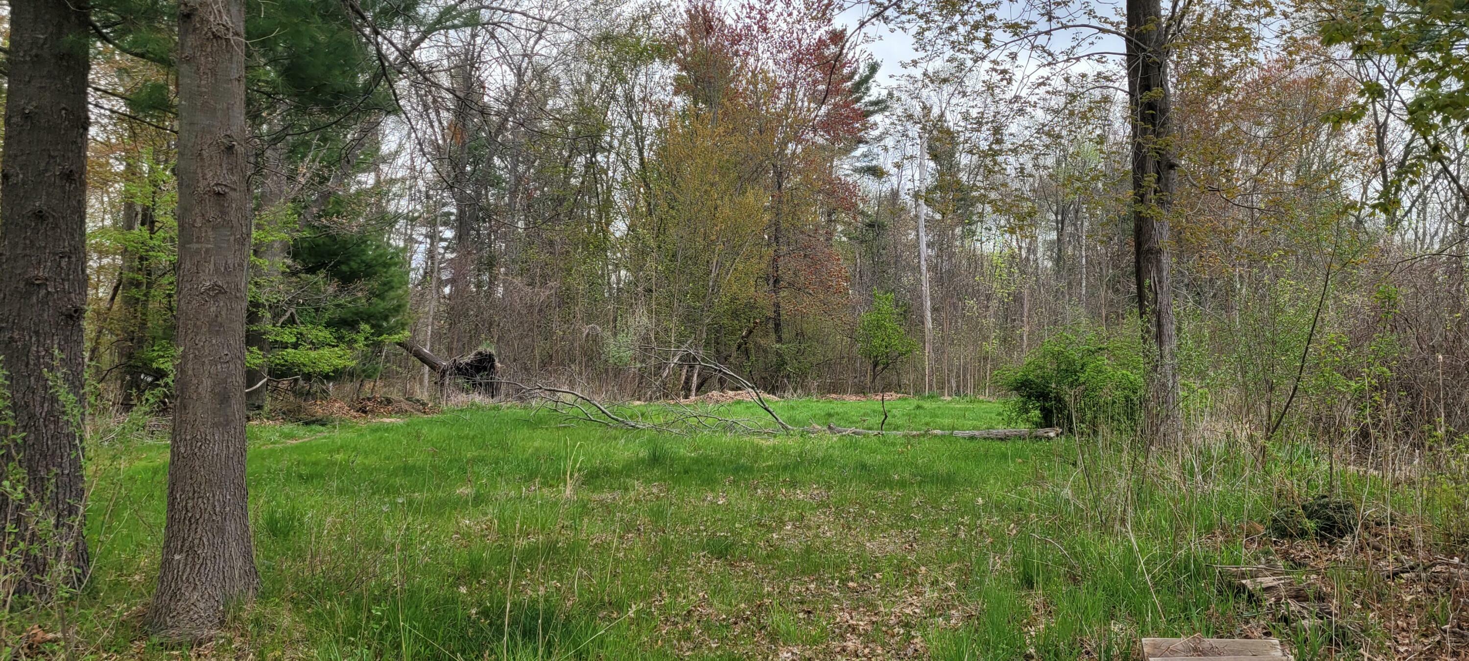 Property Photo: V/L Harbor Drive MI 49449