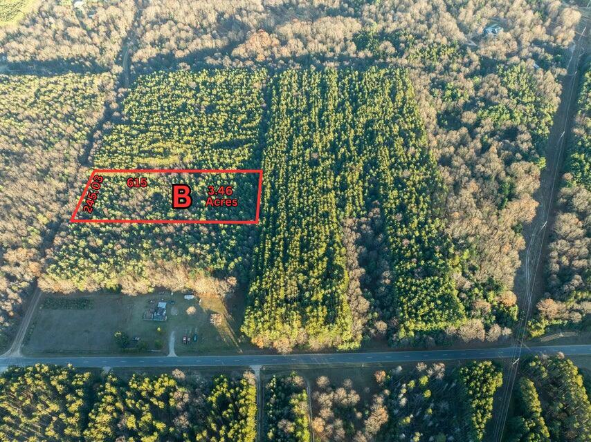 Parcel B Scout Road  Mears MI 49436 photo