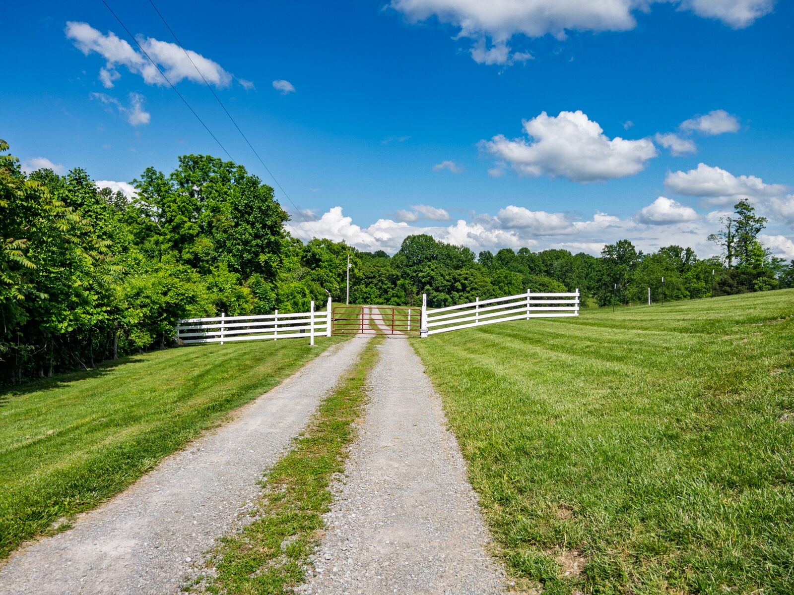 Property Photo:  904 Weeping Willow Rd  TN 37075 