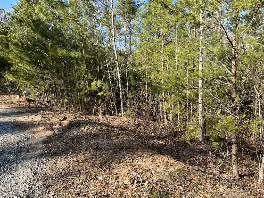 Property Photo: Lot 1855 Hunter Drive GA 30175