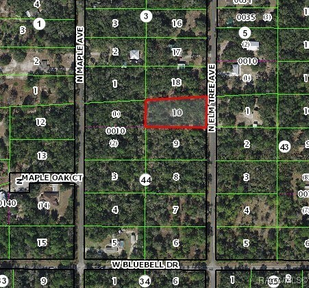 Property Photo: 8484 N Elmtree Avenue FL 34428