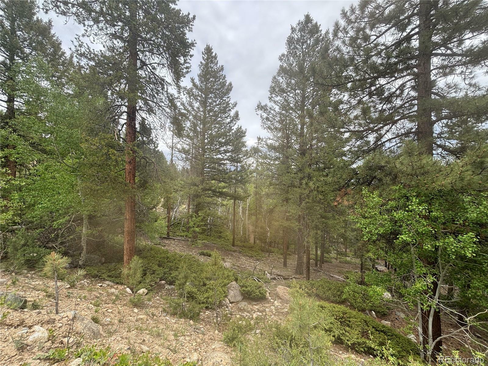 Property Photo: 30304 Aspen Turn CO 81211