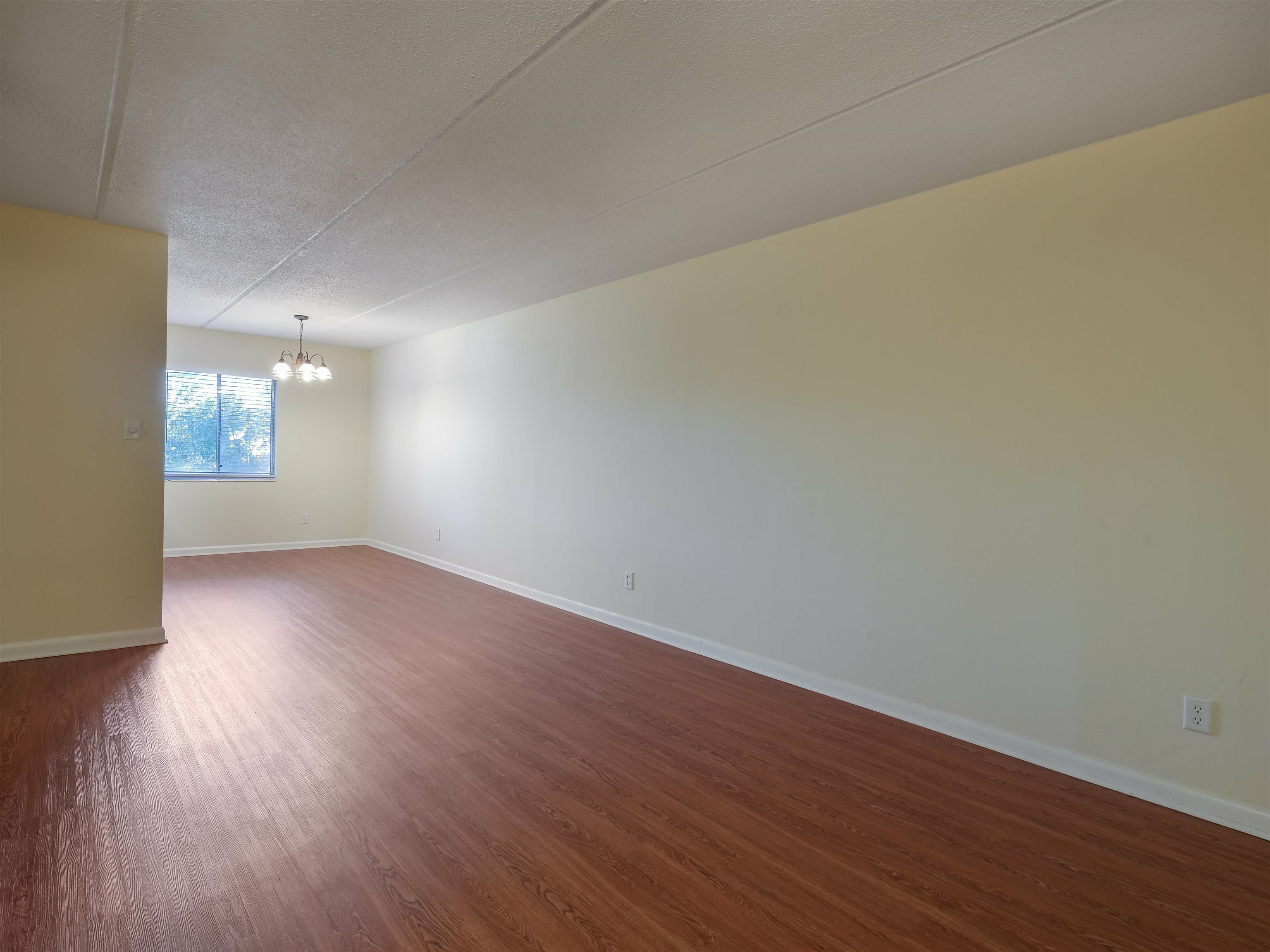 Property Photo: 545 E 7th Avenue 101 FL 32308