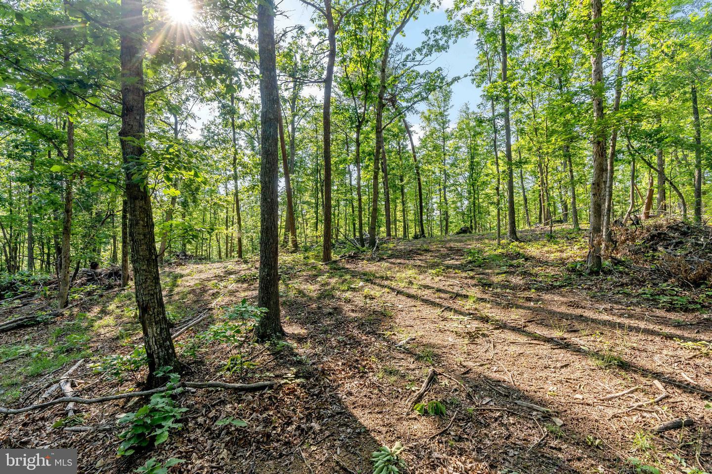 Property Photo: Lot A Saw Mill Road WV 25427