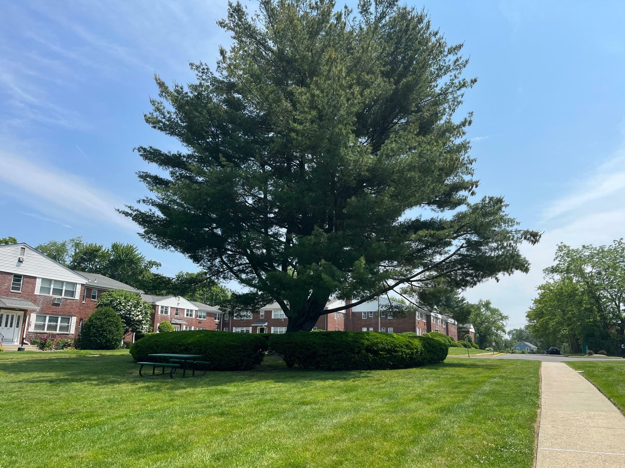 Property Photo: 225 N Middletown Road NY 10965