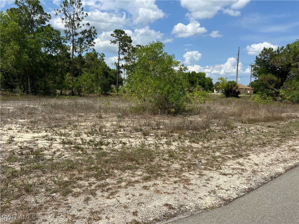 Property Photo: 735 Delridge Avenue S FL 33974